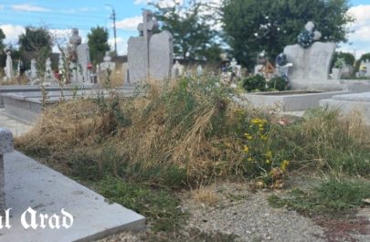 Rondul de zi cimitir terenul de baschet Marului (10)