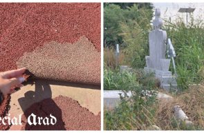 Rondul de zi cimitir terenul de baschet Marului