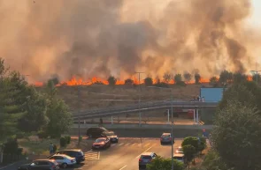 Trei incendii de vegetație în Arad, dintre care unul în apropierea zonei Mărului