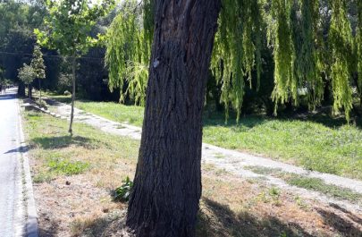 culoar de soare 12