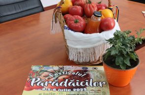 FESTIVALUL PARADAICILOR