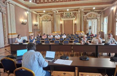 dezbatere interzicere coroane