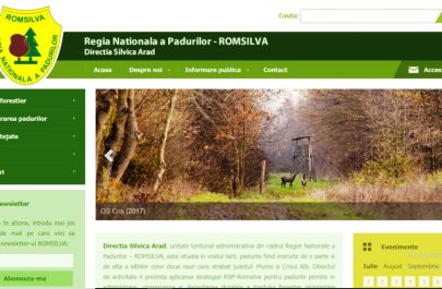 directia silvica arad