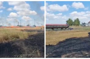incendiu-lan-de-grau-langa-arad-20-de-hectare