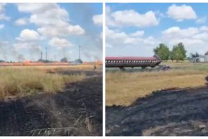 incendiu-lan-de-grau-langa-arad-20-de-hectare