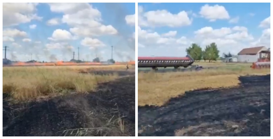 Incendiu la lan de gr&acirc;u l&acirc;ng&#259; Arad. Pompierii ac&#539;ioneaz&#259; pe 20 de hectare | Video