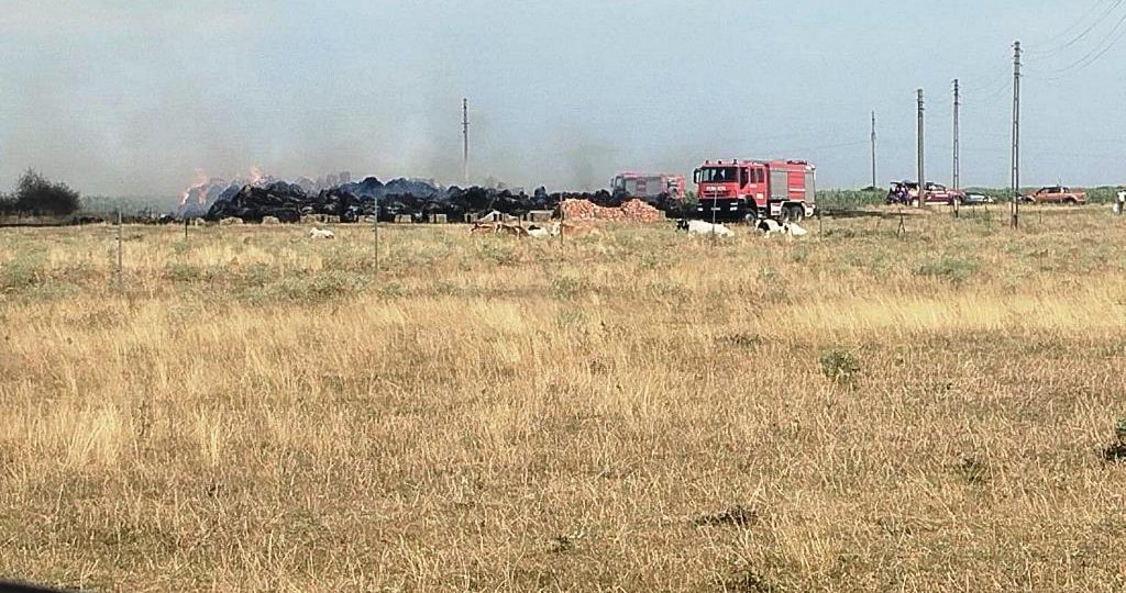 Intervenție la Incendiu de Baloți de Paie și Saivan în Zerind, 4 Autospeciale și Ambulanță Mobilizate