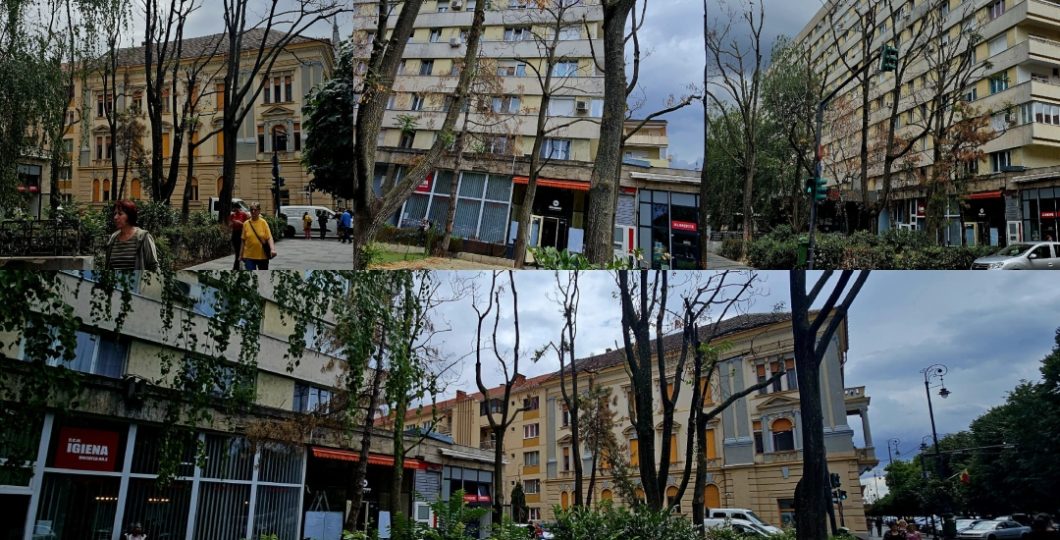 La 48 de ore după Barbarii, Garda de Mediu intervine privind copacii otrăviți de la Libelula – o enigmă cu multe semne de întrebare