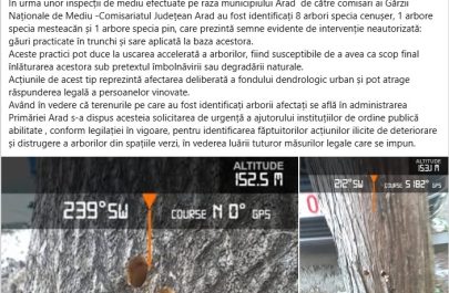 libelula garda de mediu