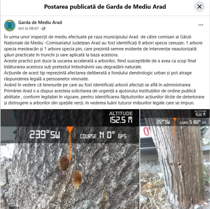 libelula garda de mediu