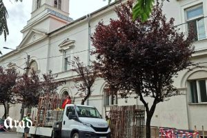 schele municipal