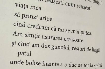 stiri ratate 31 poezia