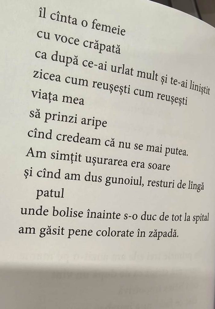 stiri ratate 31 poezia