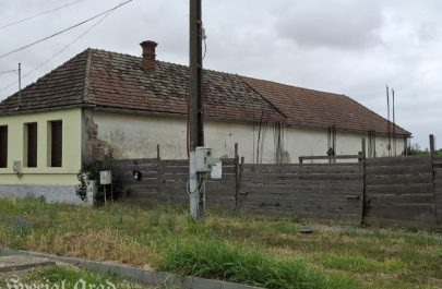 teren ACA Zădăreni (1)