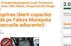 semnături malul Mureșului