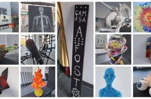 Cam așa a fost Galeria Delta Nava C2