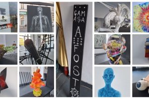 Cam așa a fost Galeria Delta Nava C2