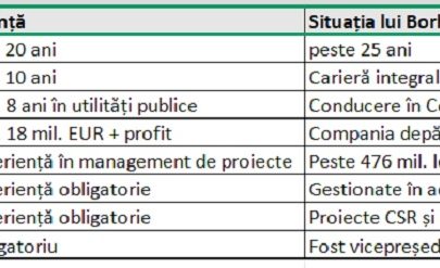 Criteriile din anunț vs. Experiența lui Gheorghe Borha