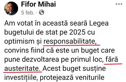 Fifor cenusa buget