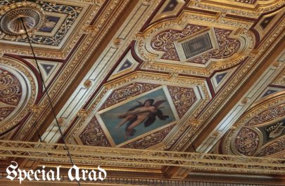 Filarmonica Arad pe scena iconică a Sălii de Aur Musikverein Viena (10B) (1)