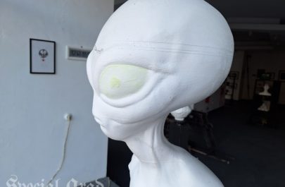 Galeria Delta - Nava C2 (13)