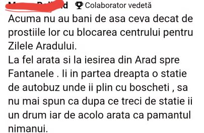 colaborator vedeta