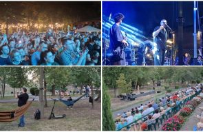 hamaceală la băncuțe the urs