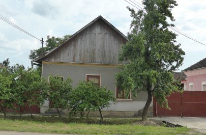 Reîntâlnire la Crișul Negru, după 22 de ani, cu trecutul (I) - casa părintească