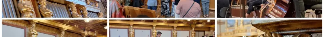 Viena Filarmonica Arad Sala de Aur Musikverein