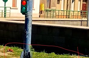 FOTOGRAFIE VEDETA ARAD CAPRE