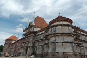 Cetatea Ineului