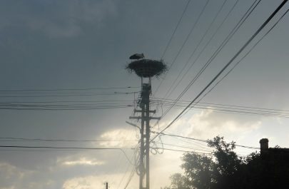 heimann_vergangenheit_abenddaemmerung