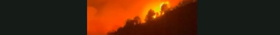 Vezuviu incendiu vegetație