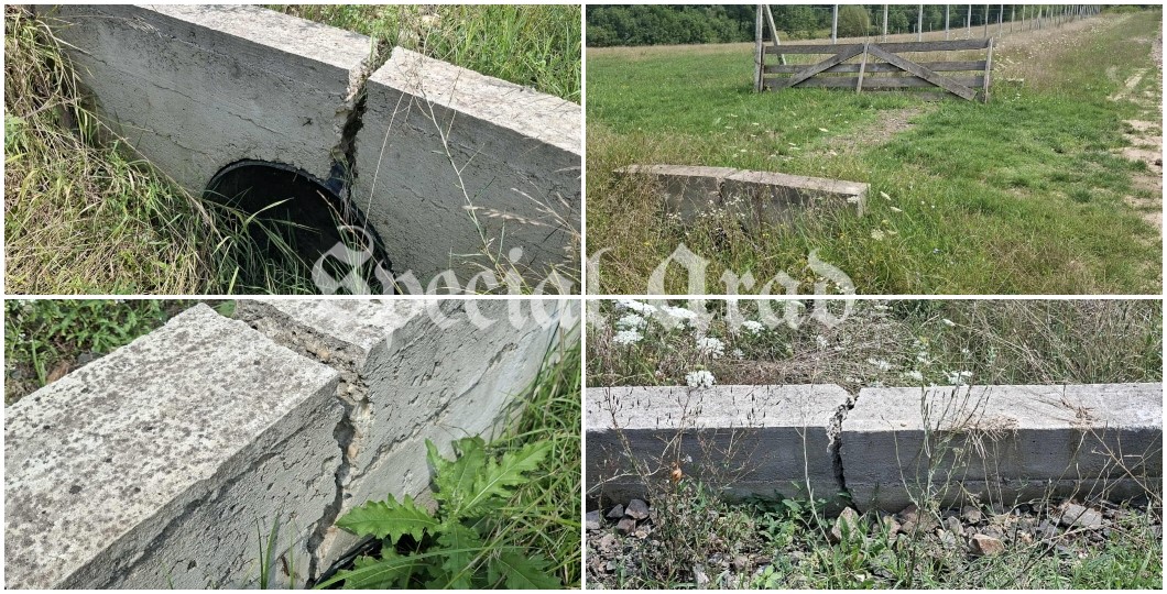podețe crăpate cuveșdia