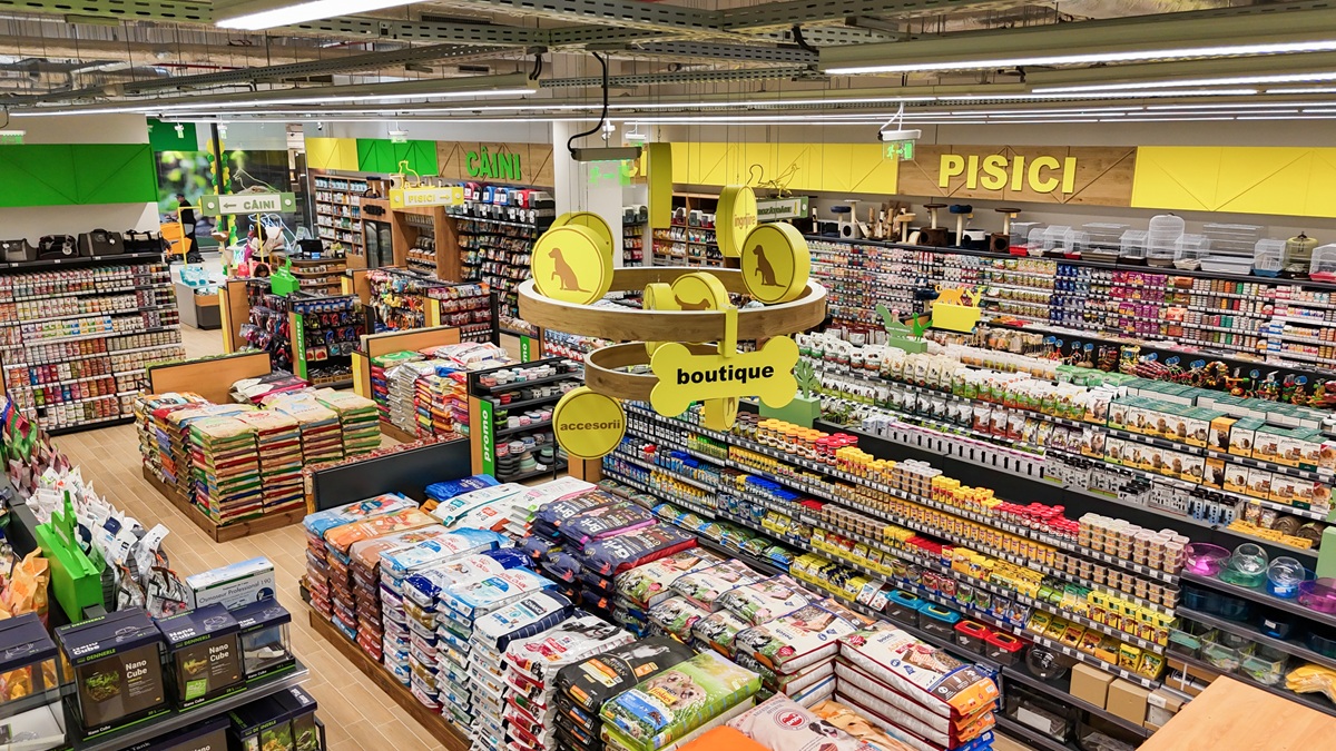 poza 4 Animax