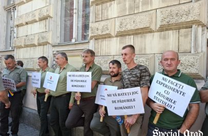 proteste profesori polițiștii locali romsilva prefectura arad (1)