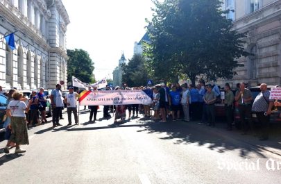 proteste profesori polițiștii locali romsilva prefectura arad (2)