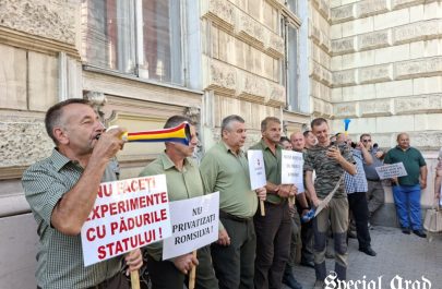 proteste profesori polițiștii locali romsilva prefectura arad (3)
