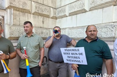 proteste profesori polițiștii locali romsilva prefectura arad (5)