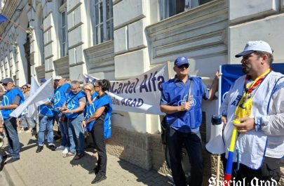 proteste profesori polițiștii locali romsilva prefectura arad (8)