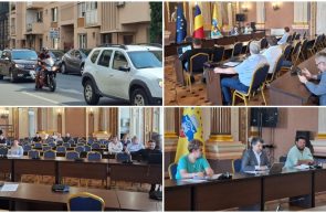 dezbatere publică plan zgomot arad