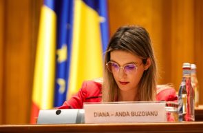 DIANA BUZOIANU ROMSILVA