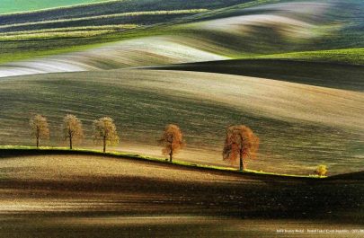 Foto premiate Ars Fotografica 2025 (1)