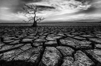 Foto premiate Ars Fotografica 2025 (15)