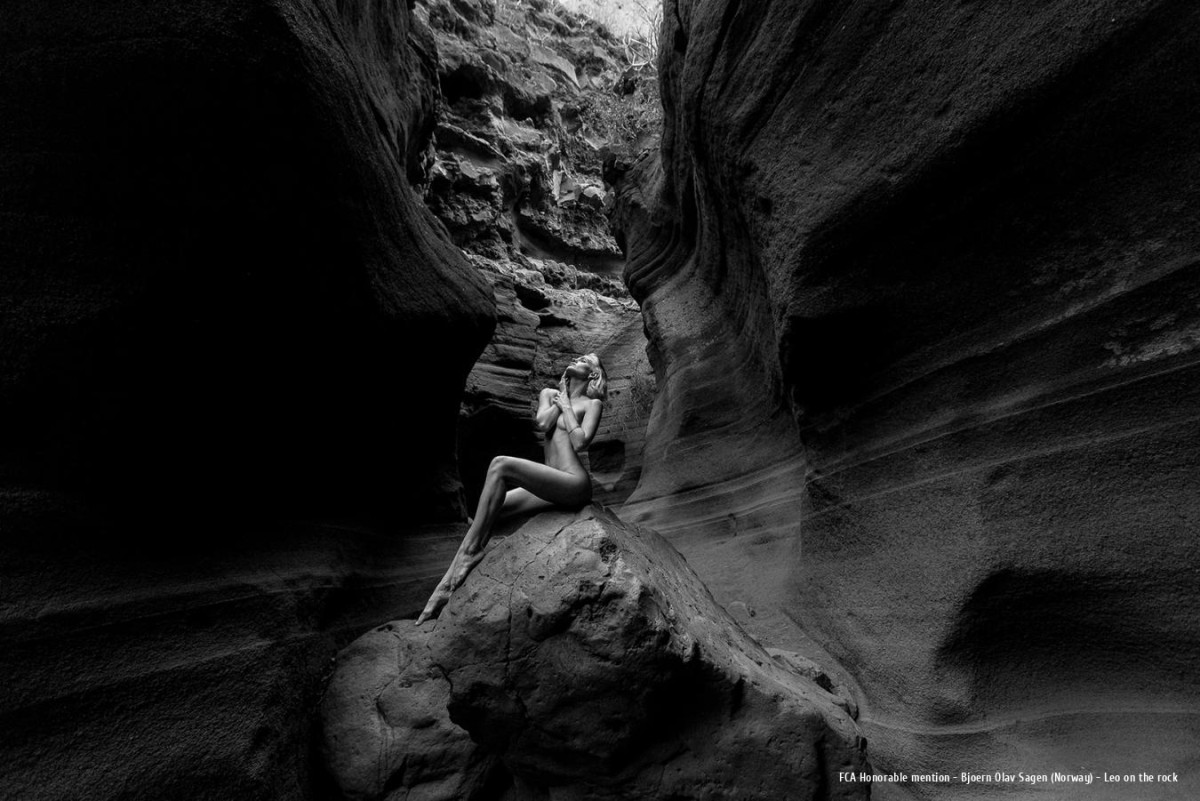 Ars Fotografica 2025 FCA Honorable mention: Bjoern Olav Sagen (Norway) - Leo on the rock