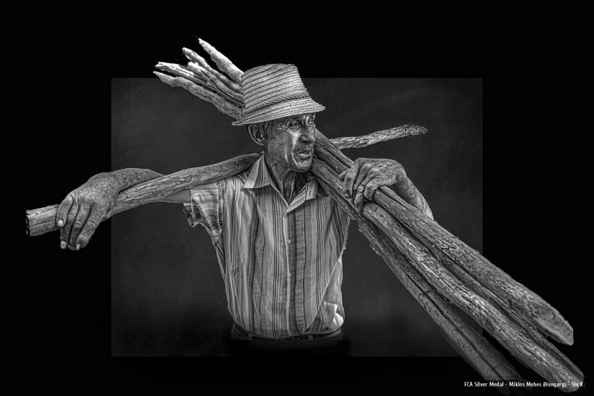 Ars Fotografica 2025 FCA Silver Medal: Miklos Mehes (Hungary) - Six X