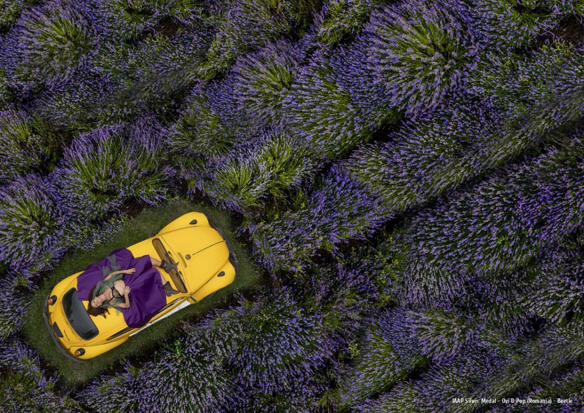 Ars Fotografica 2025 IAAP Silver Medal: Ovi D Pop (Romania) - Beetle