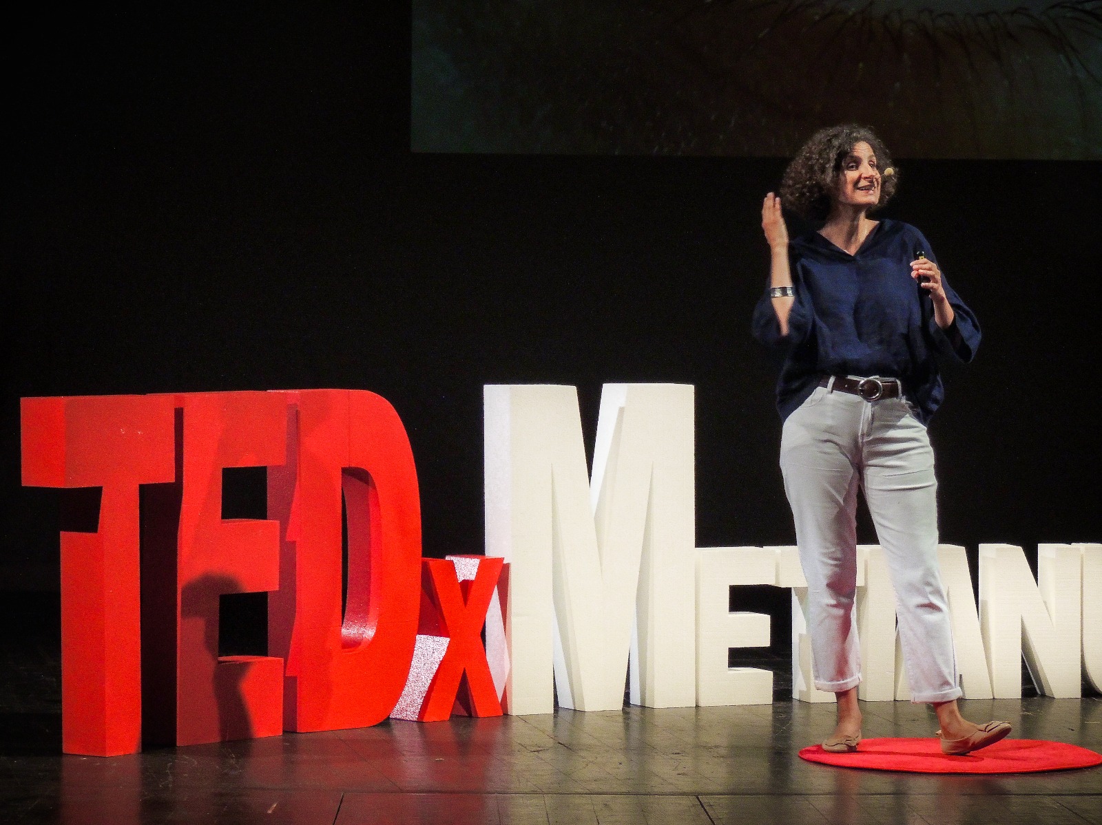 Sandra Jitianu - TEDx Arad