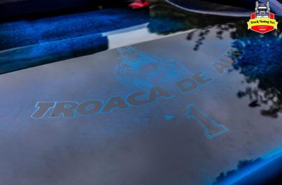 Troaca de Aur - Alexandru Miclea (4)