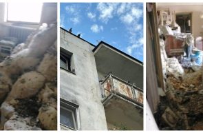 bloc v8 bombă ecologică
